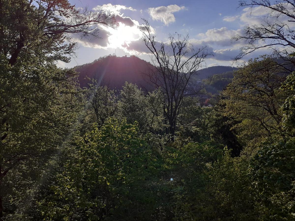 Pension Villa Pangea Bad Lauterberg Eksteriør billede